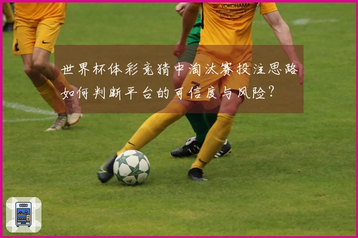 世界杯体彩竞猜中淘汰赛投注思路如何判断平台的可信度与风险？