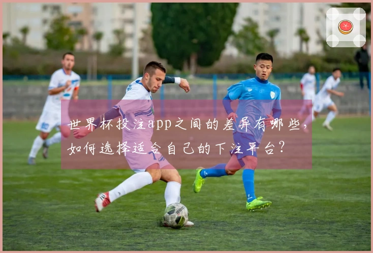 世界杯投注app之间的差异有哪些，如何选择适合自己的下注平台？