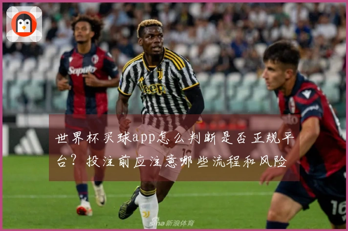 世界杯买球app怎么判断是否正规平台？投注前应注意哪些流程和风险控制