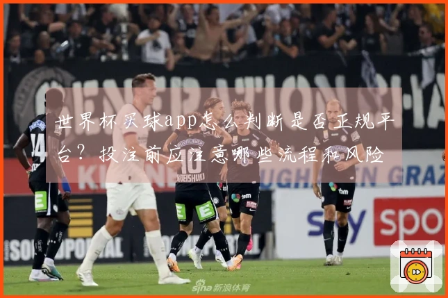 世界杯买球app怎么判断是否正规平台？投注前应注意哪些流程和风险控制
