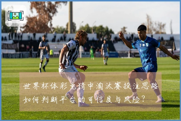 世界杯体彩竞猜中淘汰赛投注思路如何判断平台的可信度与风险？