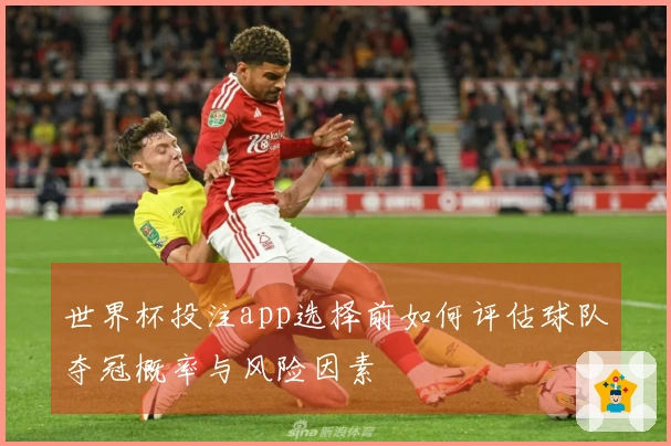 世界杯投注app选择前如何评估球队夺冠概率与风险因素